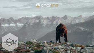 Ist Dein Hund ein Bergfex? | KohlenStoff powered by CharLine GmbH